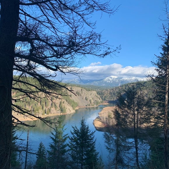 Meet your Posher, Sue - Picture 1 of 1